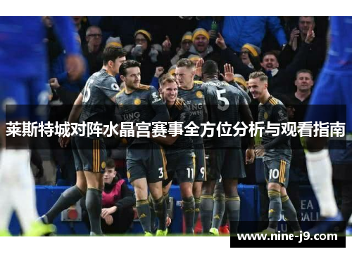 莱斯特城对阵水晶宫赛事全方位分析与观看指南